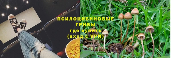 герыч Вязьма