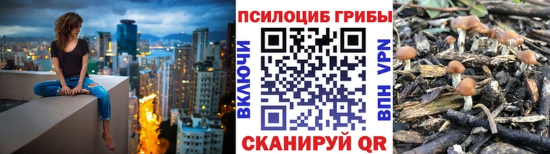 Галлюциногенные грибы ЛСД  MEGA tor  Оханск 